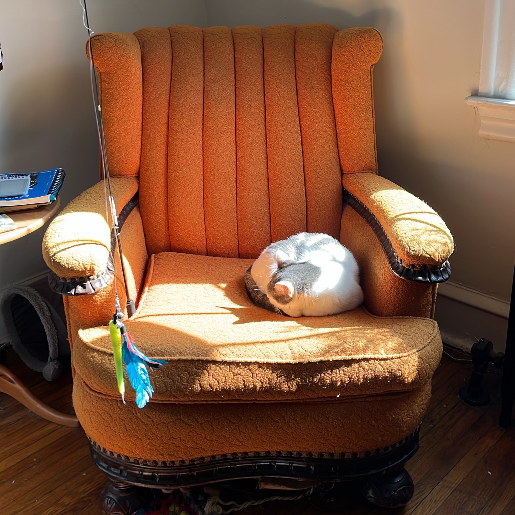 The Orange Chair in its well-weathered glory.